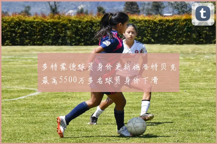多特蒙德球员身价更新施洛特贝克最高5500万多名球员身价下滑