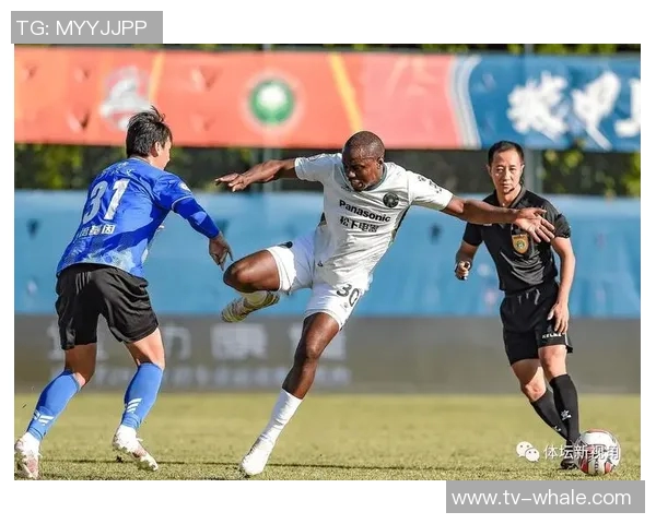 小蜘蛛连胜不止坚持自我提升助力球队再创佳绩 小蜘蛛连胜不止坚持自我提升助力球队再创佳绩