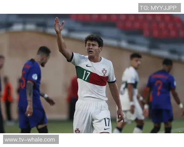 斯基拉报道罗马尤文关注弗鲁勒博洛尼亚积极续约球员 斯基拉报道罗马尤文关注弗鲁勒博洛尼亚积极续约球员