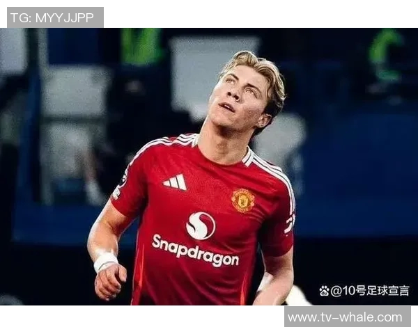 约克称舍什科潜力更大视为霍伊伦的升级版 约克称舍什科潜力更大视为霍伊伦的升级版