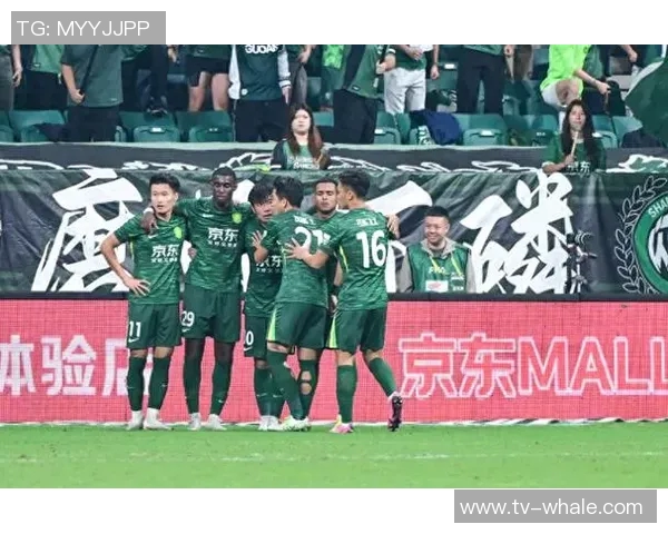 国安面临复杂挑战民企掌控球队难以生存的现状分析