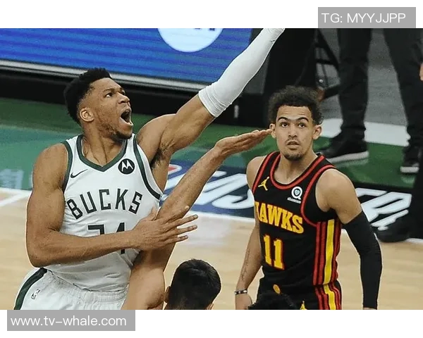 字母哥特雷杨詹姆斯未来动向分析值得关注的球员交易前景