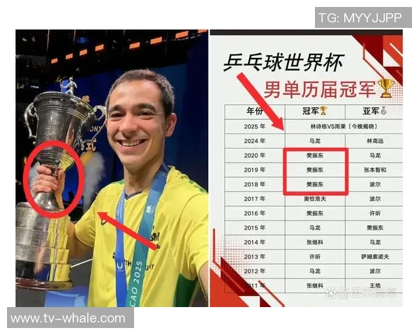 米兰计划向雨果索萨提出新报价期待世界杯后顺利加盟